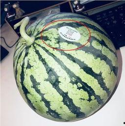 吃瓜网红地点,吃瓜群众的美食天堂  第1张